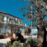Peaceful village square with benches, olive trees, and historical buildings under clear blue sky.